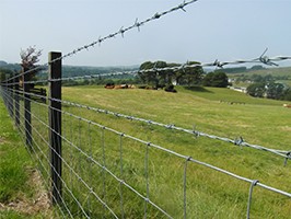 Alambre-de-espino-1