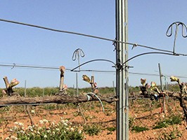 Alambres-1