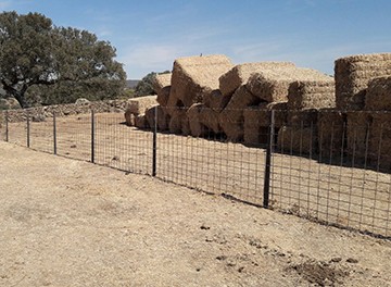 Mallazo-ganadero-1