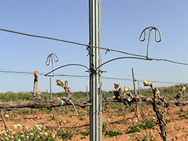 Postes-para-vinas-2